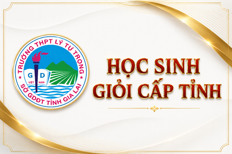HOC-SINH-GIOI-CAP-TINH.png