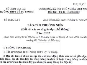 BÁO CÁO THƯỜNG XUYÊN ĐỐI VỚI CƠ SỞ GIÁO DỤC PHỔ THÔNG NĂM 2025