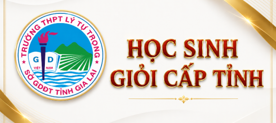 HOC-SINH-GIOI-CAP-TINH.png